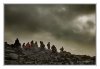 27/IMG_0520 site.jpg